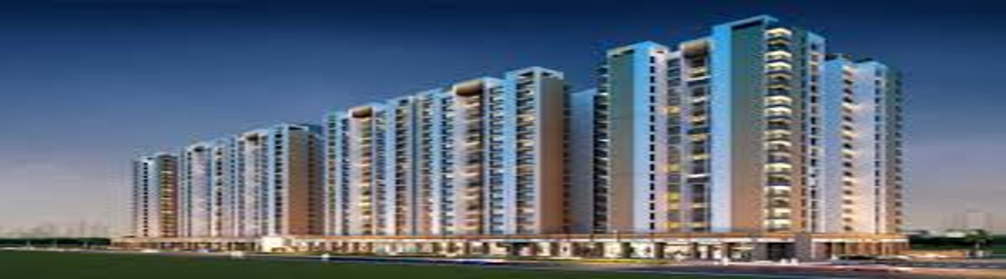 About Vision Vanessa