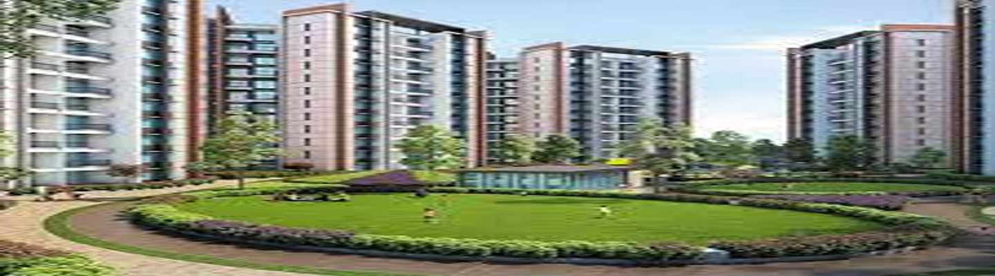 PRIDE PURPLE PARK CONNECT